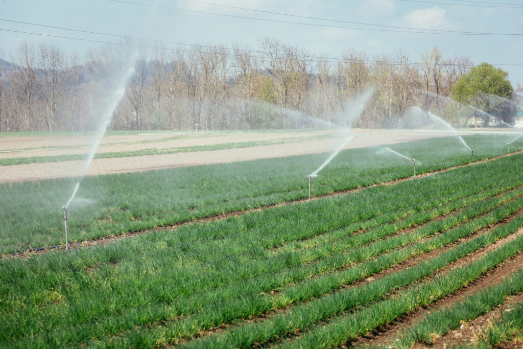 WHAT IS AN IRRIGATION SYSTEM TYPES DESIGN AND INNOVATIONS visual data 2